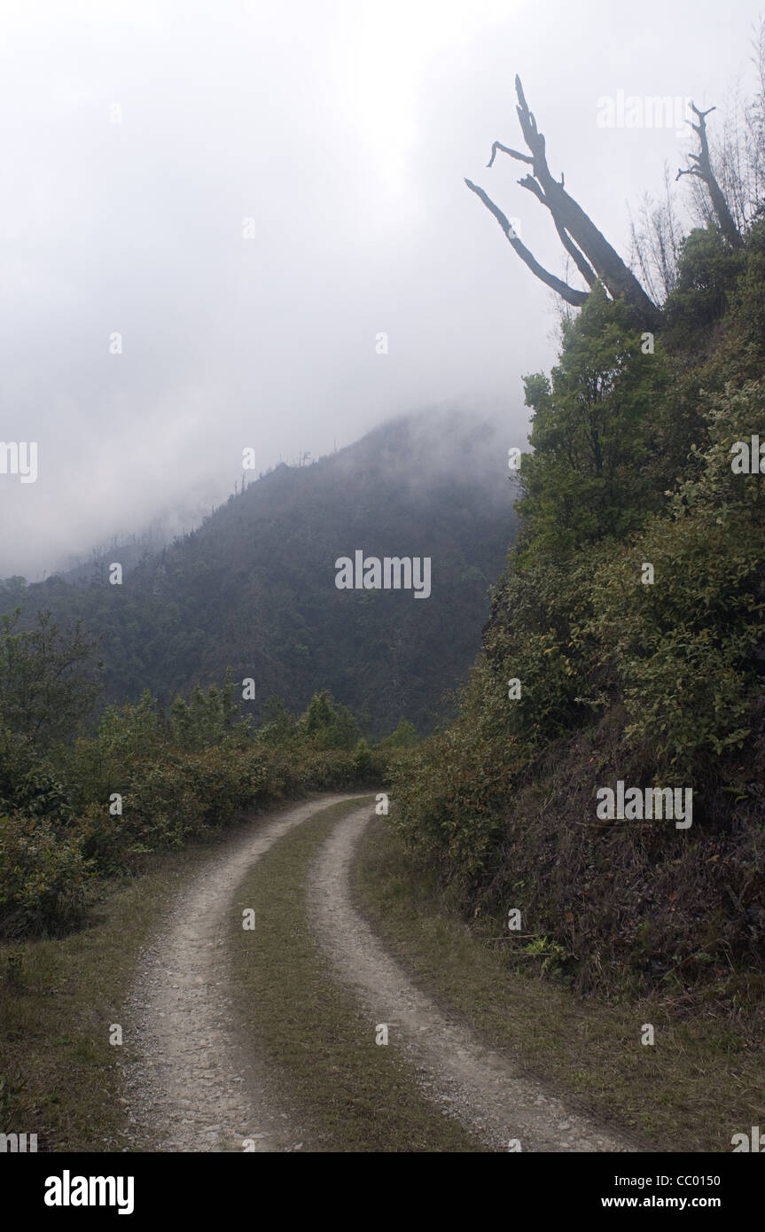 Eaglenest-Pass (2800m). Arunachal Pradesh, Indien Stockfoto