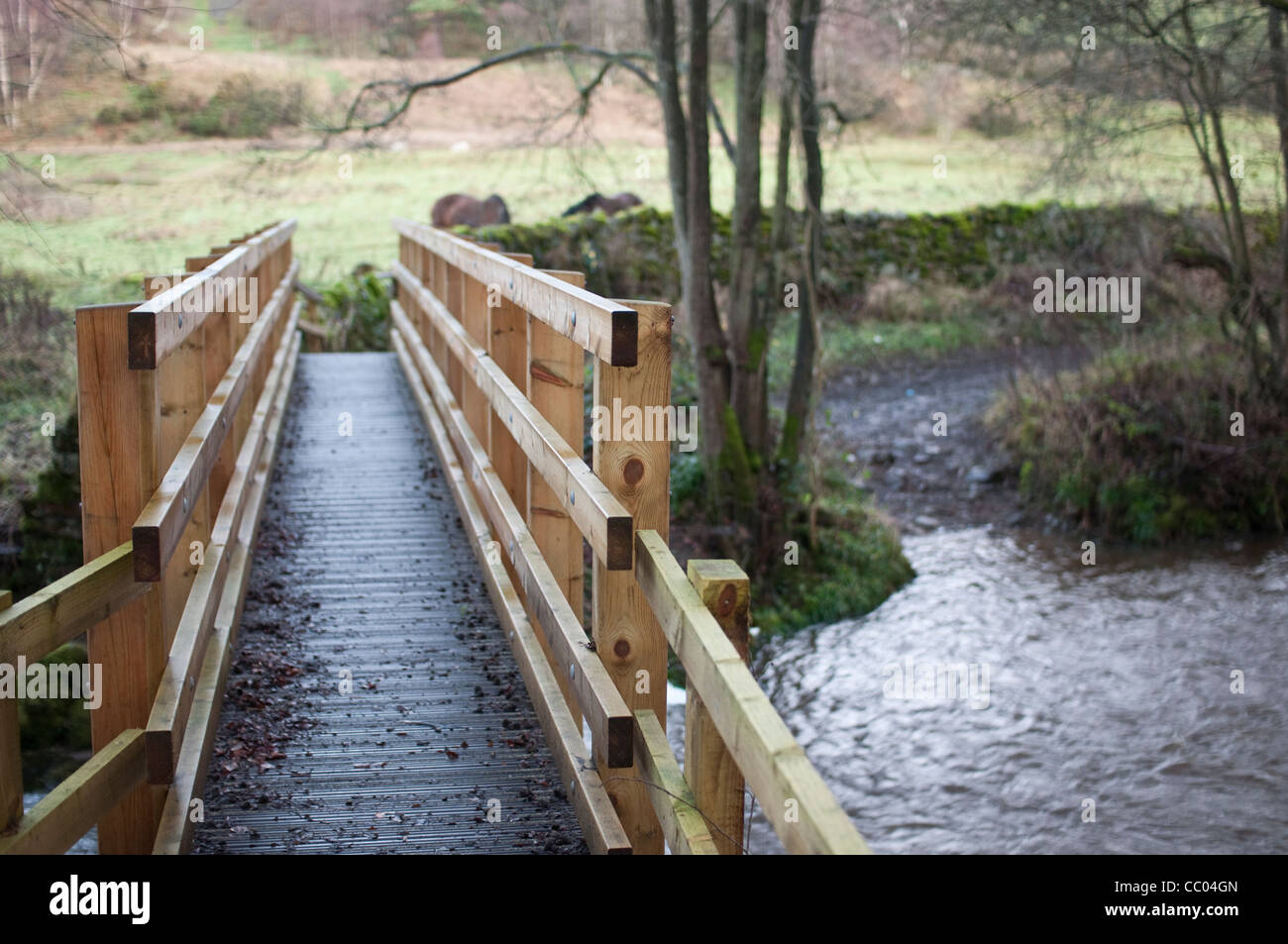 Ein neuer Holzsteg an einem öffentlichen Fußweg über einen angeschwollenen Fluss im ländlichen Hexhamshire, Northumberland, England. Stockfoto