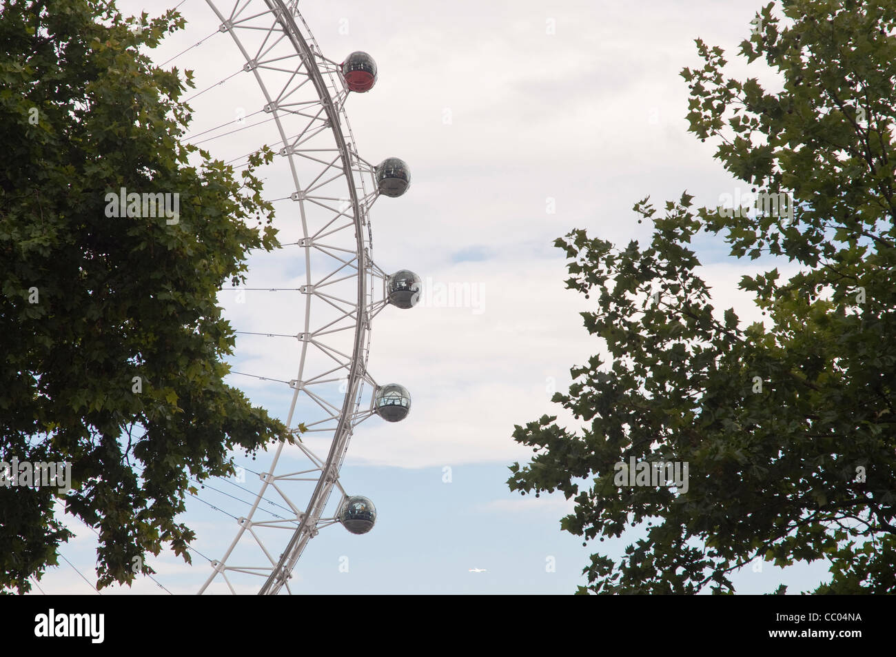 Das "London Eye", gesehen durch Bäume auf der South Bank, London, England. Stockfoto