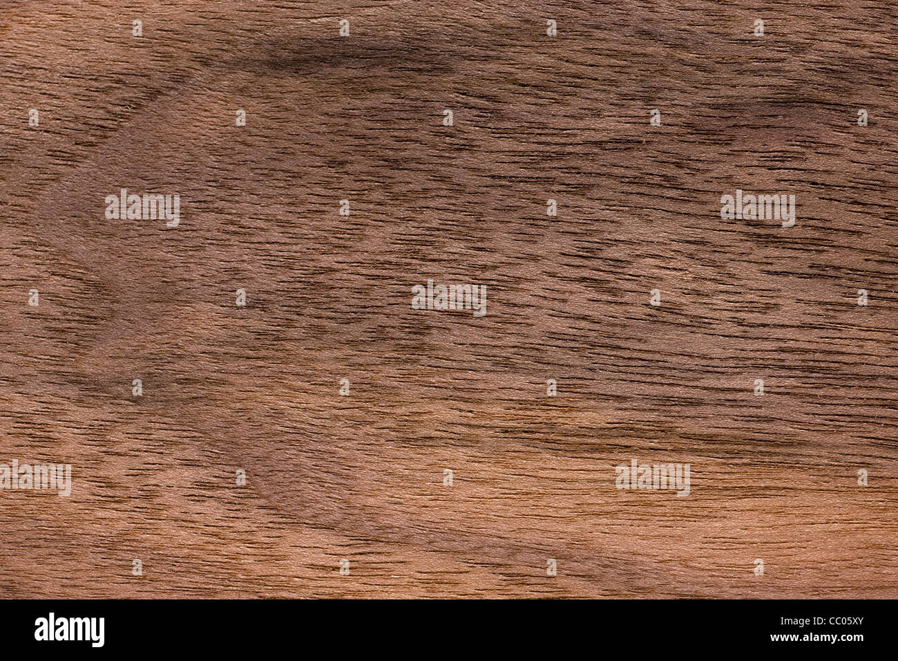 Holz-Maserung des östlichen Schwarznuss (Juglans Nigra), Nord Amerika Stockfoto