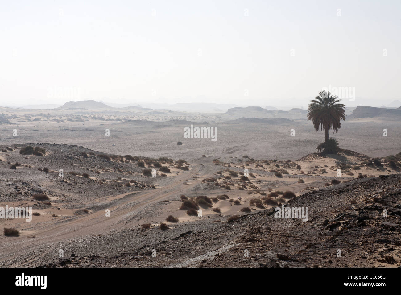 Blick über die Wüste Hügel in der Nähe der Festung und Siedlung Qasr el Labekha in der Wüste in der Nähe von Kharga Oasis Ägypten Stockfoto