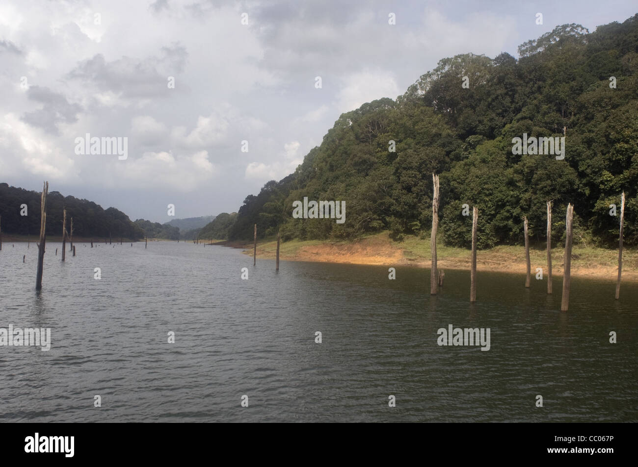 Wasser des Stausees Periyar zurück. Ein berühmter touristischer Ort in der Nähe der Periyar Tiger Reserve von Kerala Stockfoto