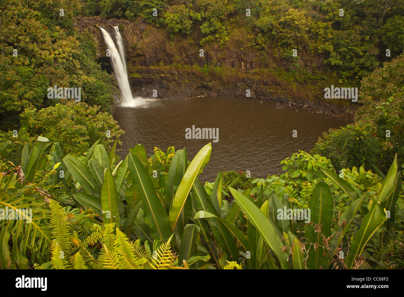 Rainbow Falls in der Nähe von Hilo, Hawaii, USA Stockfoto