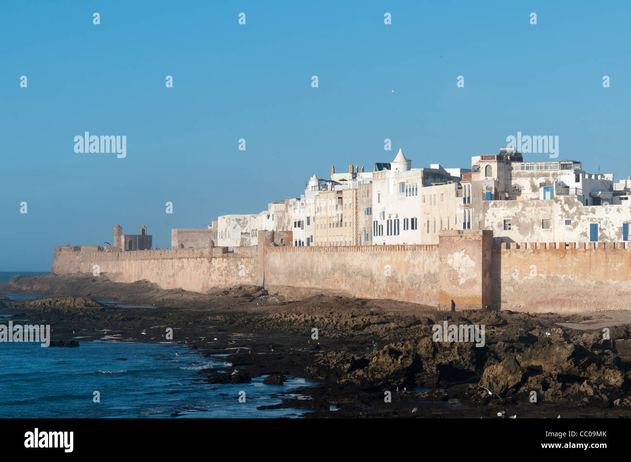 Skala De La Ville, Essaouira, Marokko Stockfoto