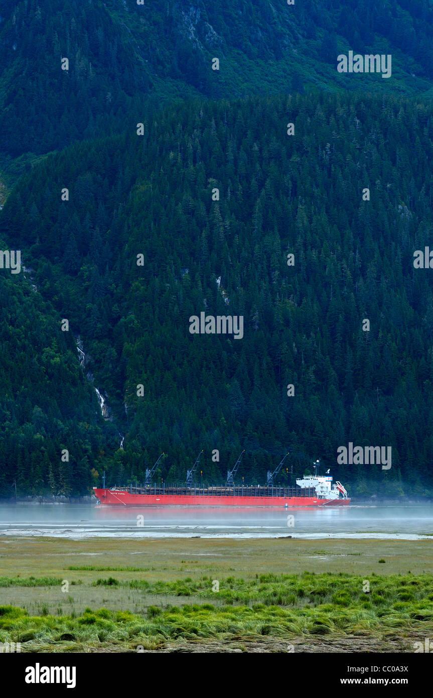 Ein Schiffsbeladung roh Protokolle für den Transport. Stockfoto