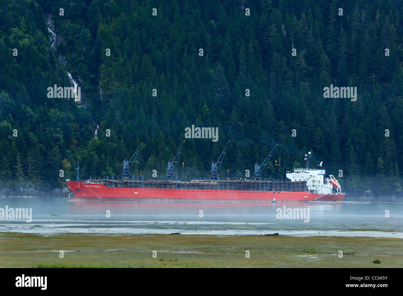 Ein Schiffsbeladung roh Protokolle für den Transport. Stockfoto