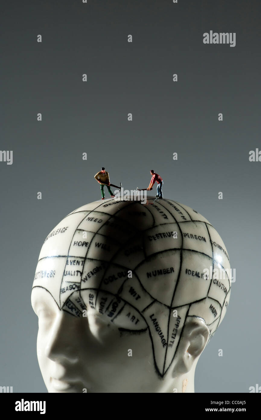 Kommissionierung Ihrer Gehirne, Gehirnchirurgie, Konzept konzeptionell - kleine Figuren auf einem Phrenologie Kopf Graben Stockfoto