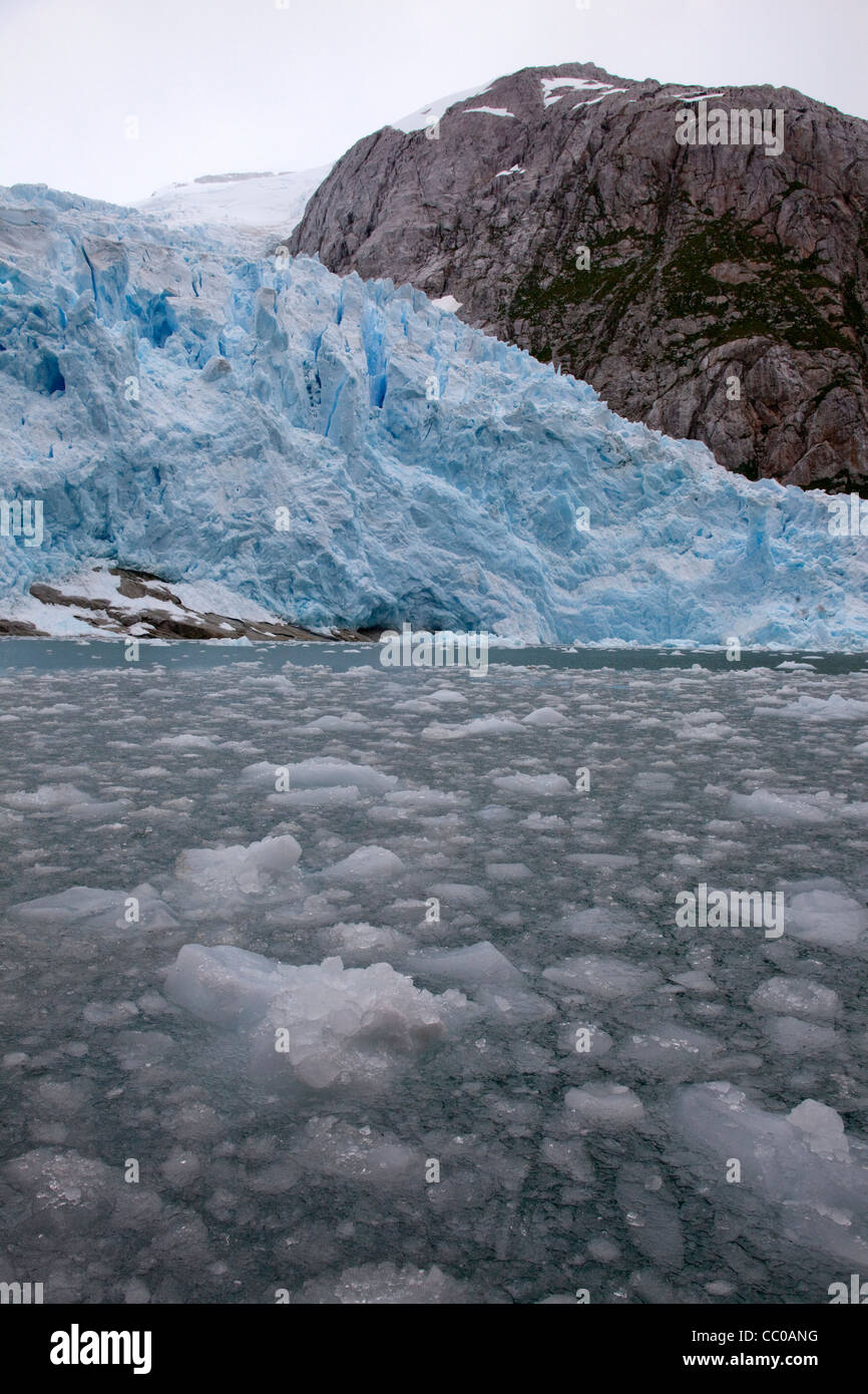 Eis schwimmt auf der Wasseroberfläche in der Nähe von einem schmelzenden Gletscher. Stockfoto