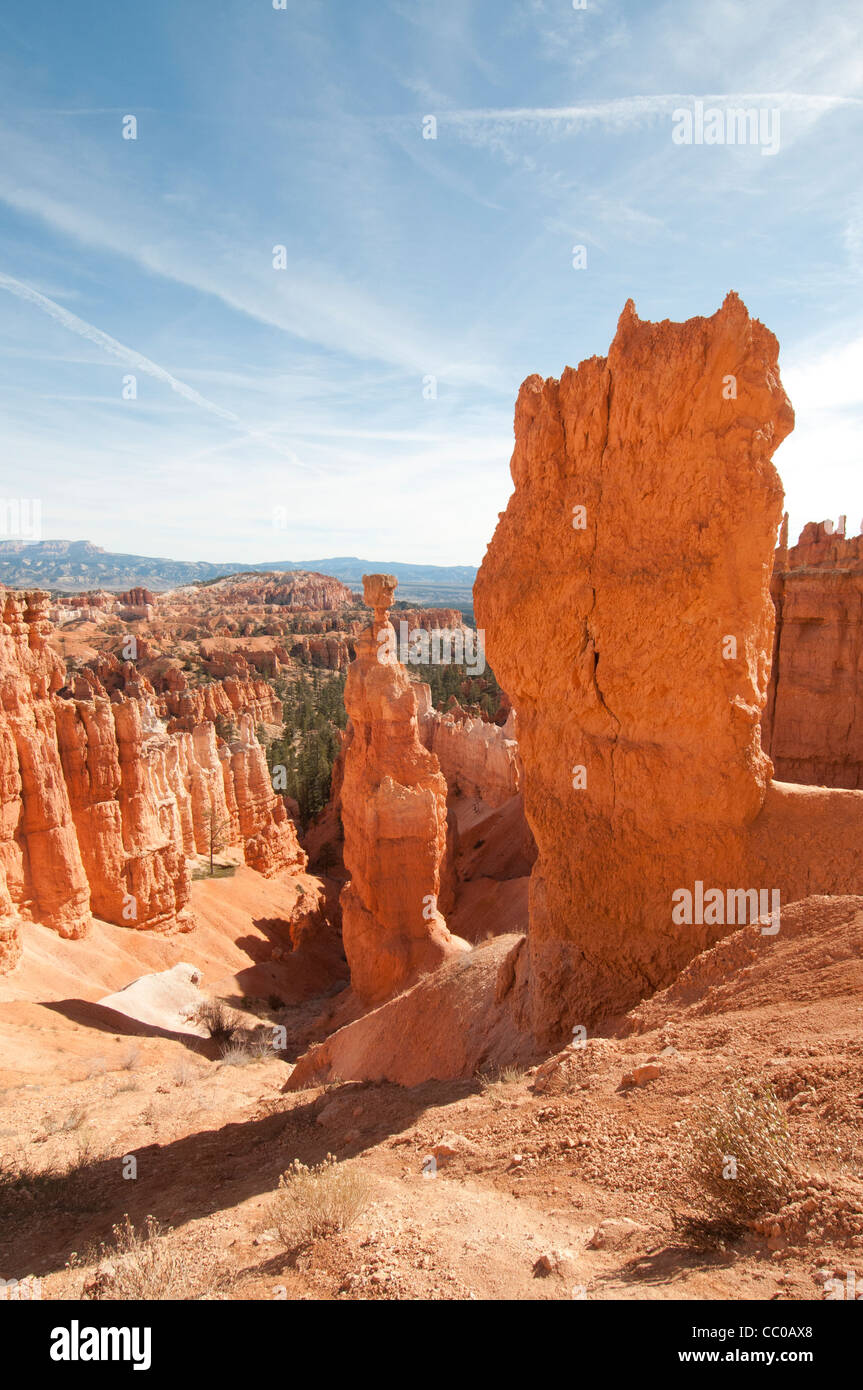 Roter Sandstein Hoodoos der Bryce-Canyon-Nationalpark Stockfoto