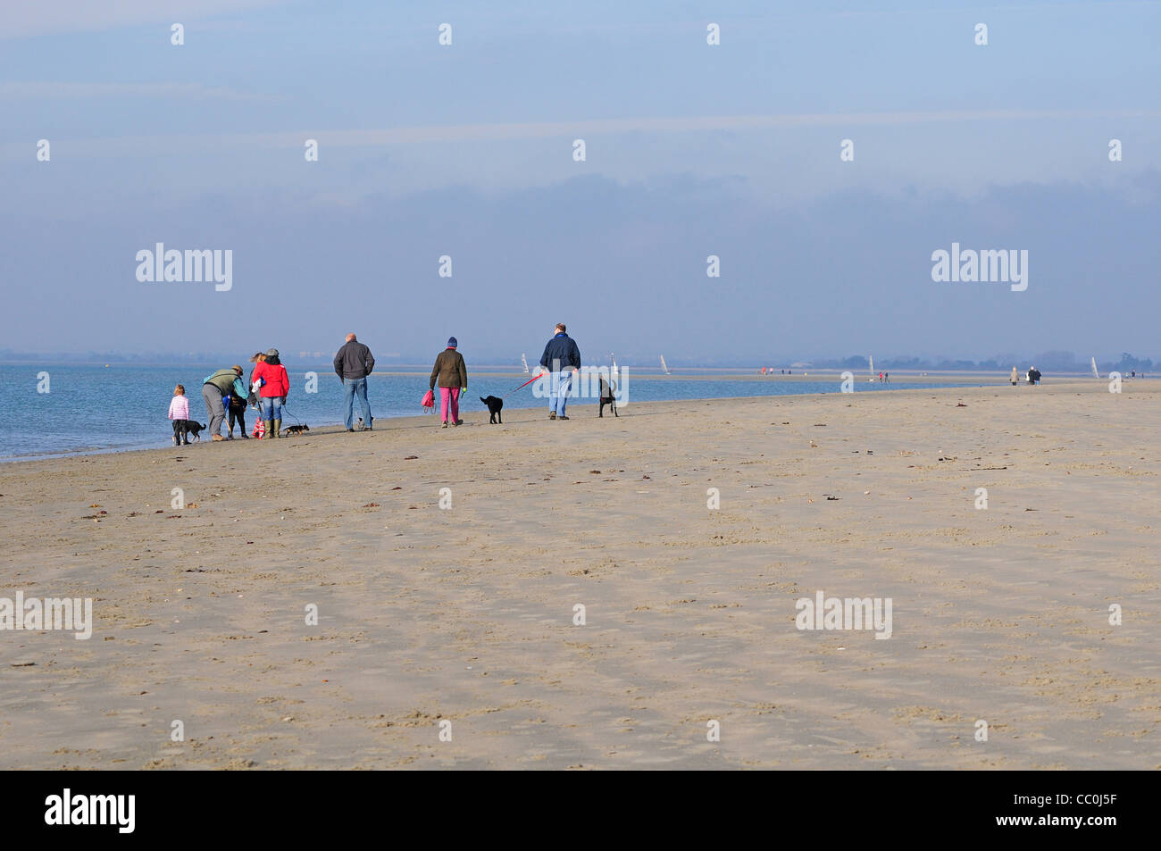 Hund Spaziergänger am Strand von West Wittering, November. Stockfoto