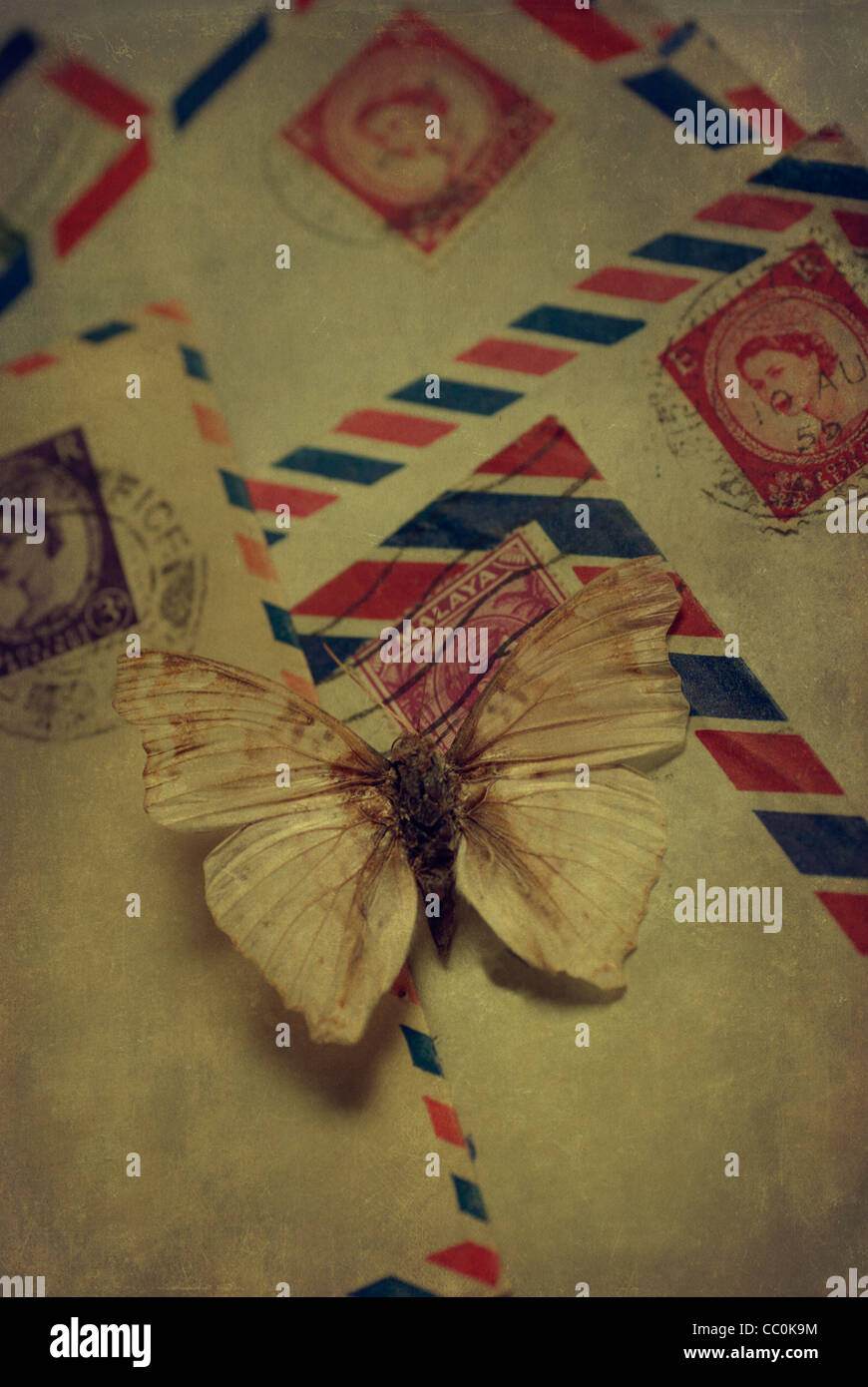 Trockenen Schmetterling über alte Briefe Stockfoto