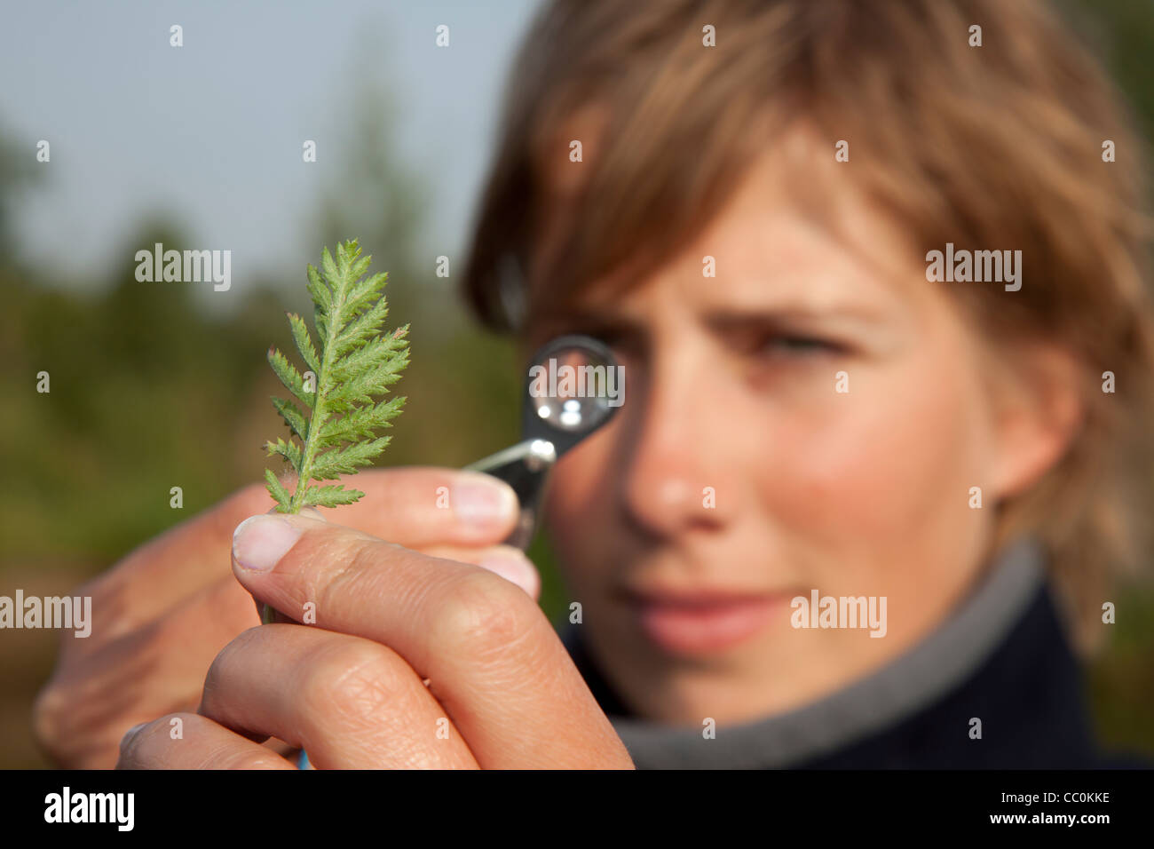 Blick durch ein Magniying Glas Stockfoto