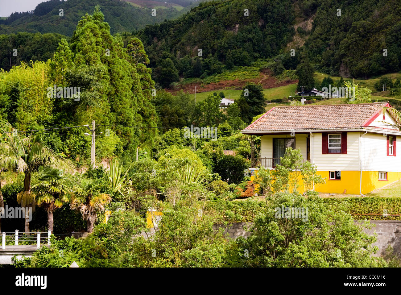 Furnas, Sao Miguel, Azoren Stockfoto