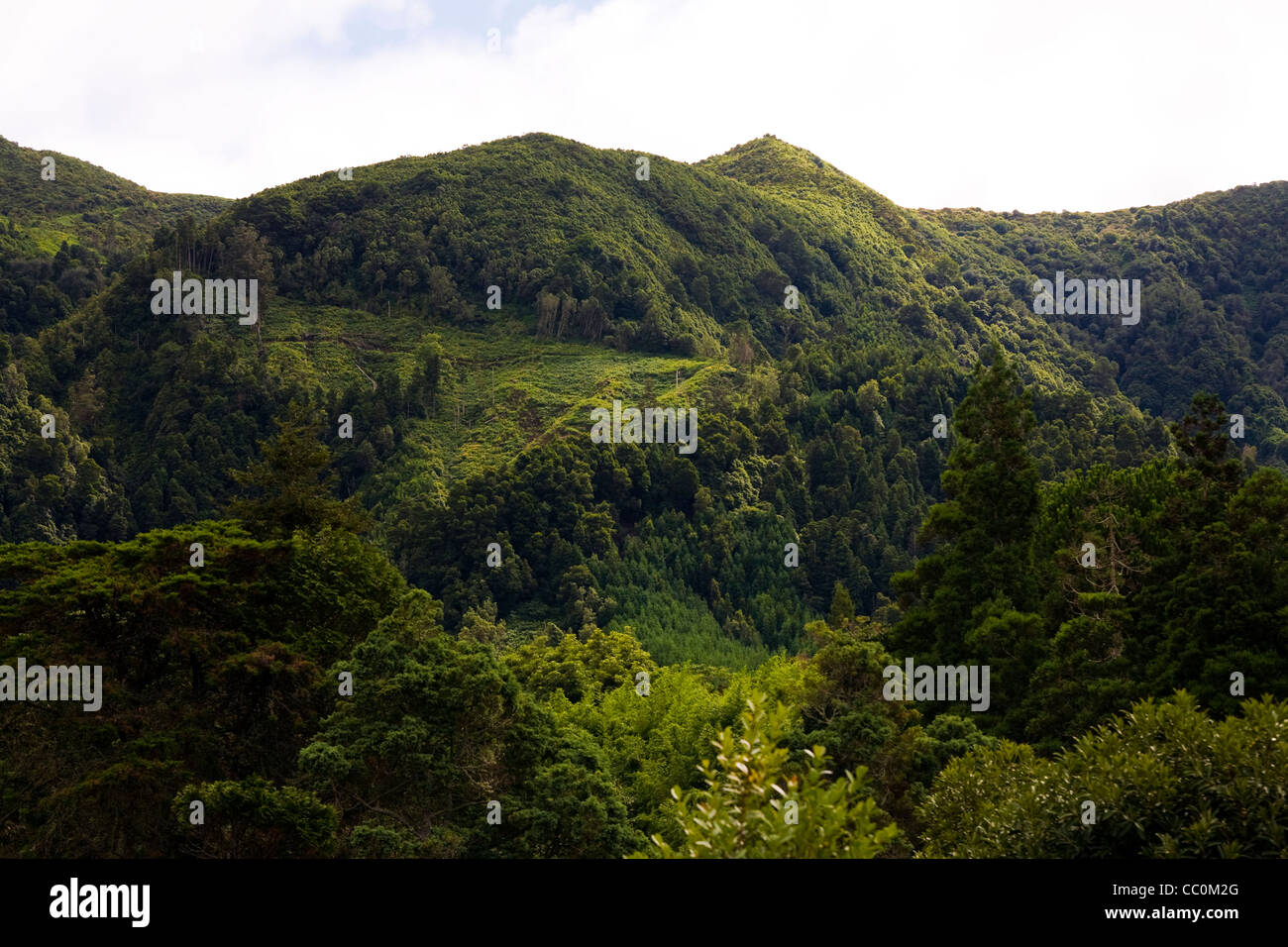 Furnas, Sao Miguel, Azoren Stockfoto