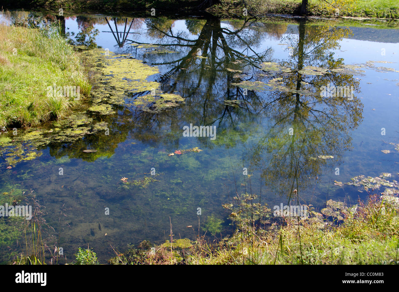 Oberfläche reflektiert Baum und moderne Skulptur von Mark di Suveros "Pyramidium" im Sturm-König Art Center, Hudson Valley, New York Stockfoto