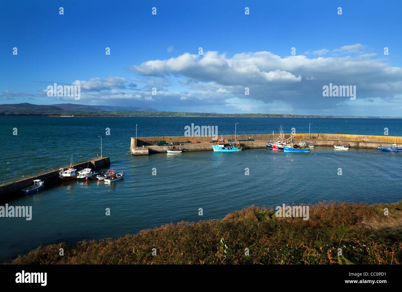Helvick Hafen, auf der eine Rinn (Ring) Halbinsel, County Waterford, Irland Stockfoto
