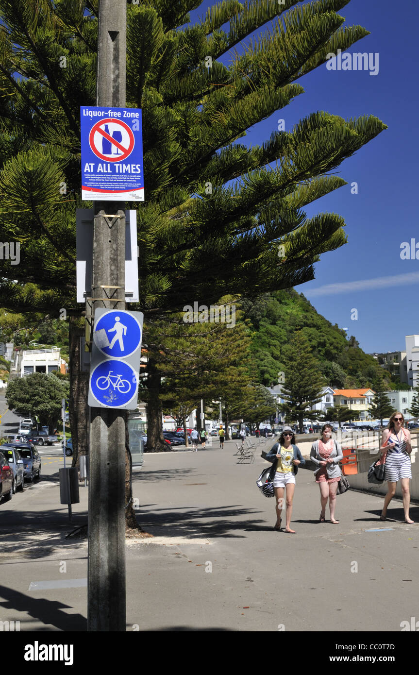 Alkohol-freie Zone Zeichen im Oriental Parade Promenade, Wellington, Neuseeland. Stockfoto