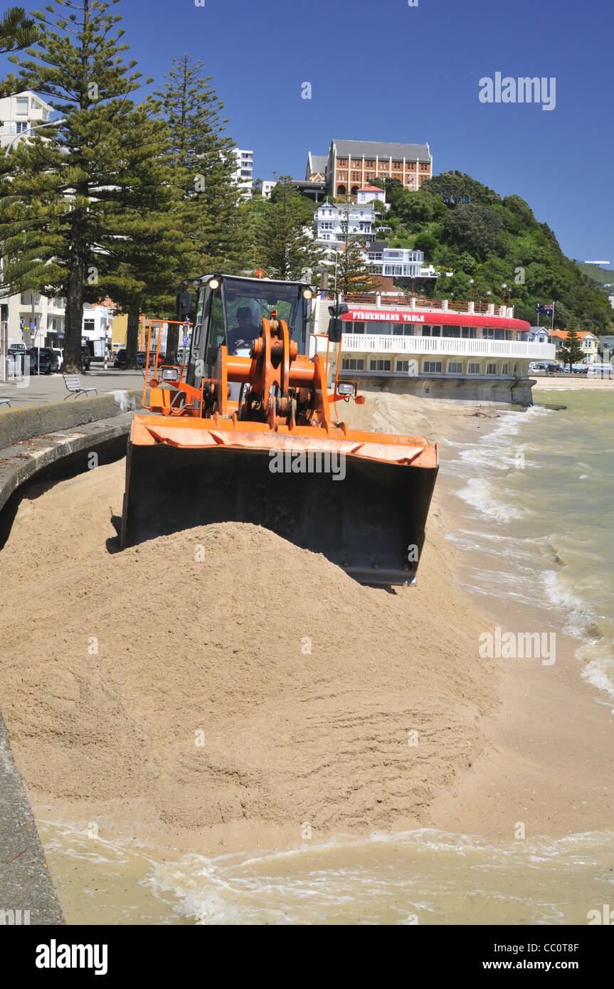 Strand-Nachschub im Oriental Bay Beach wo Sand vom westlichen zum östlichen Ende, Wellington, New Zealand verschoben wird. Stockfoto