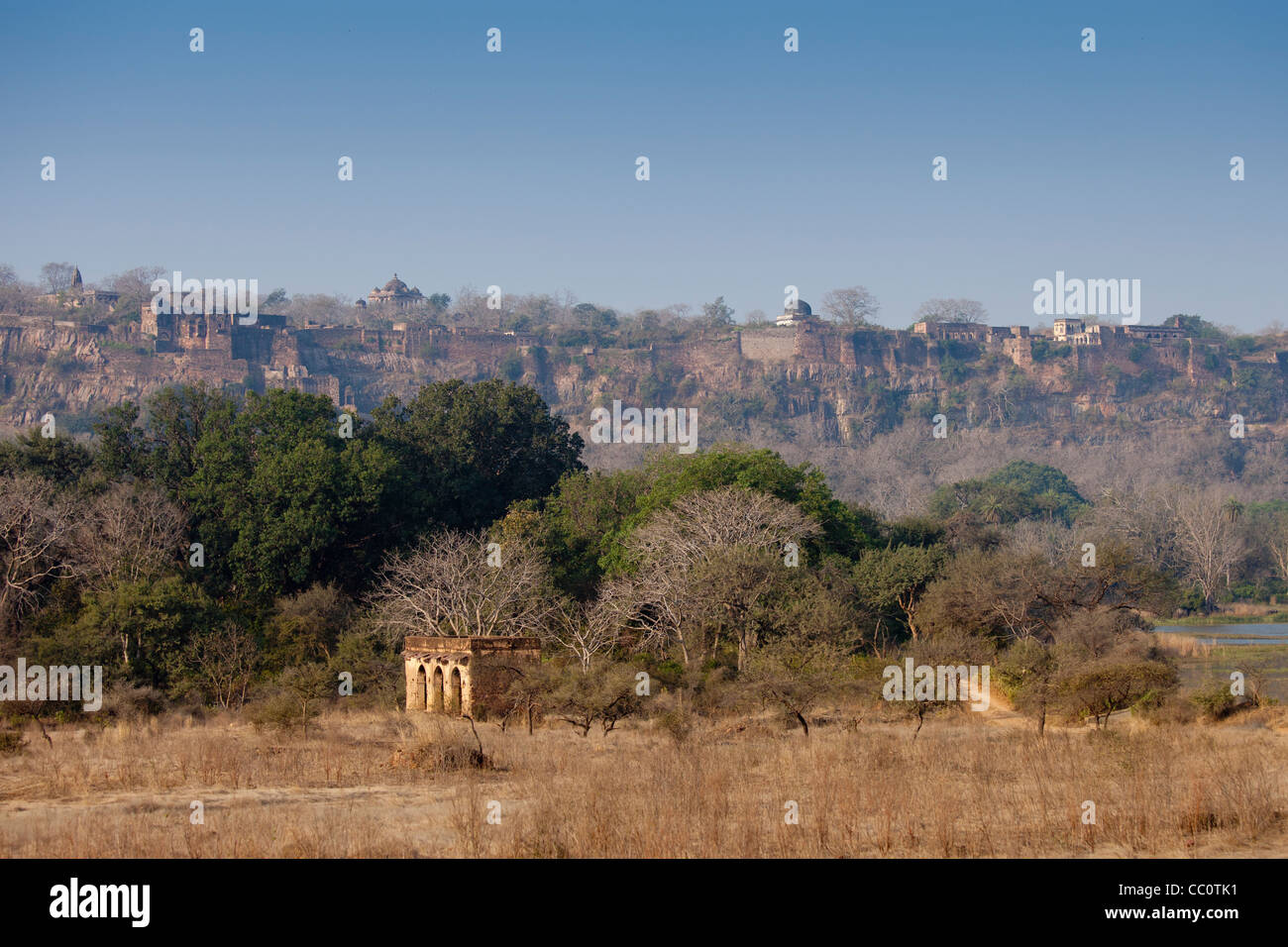 Maharaja Jaipurs Jagdhaus mit Ranthambhore Fort hinter in Ranthambhore National Park, Rajasthan, Nordindien Stockfoto