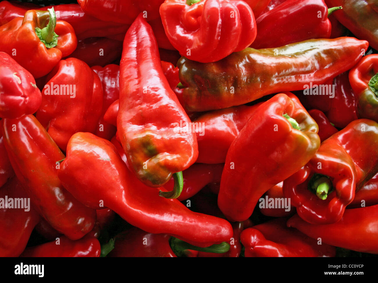Eine große Gruppe von schönen roten Paprika Stockfoto