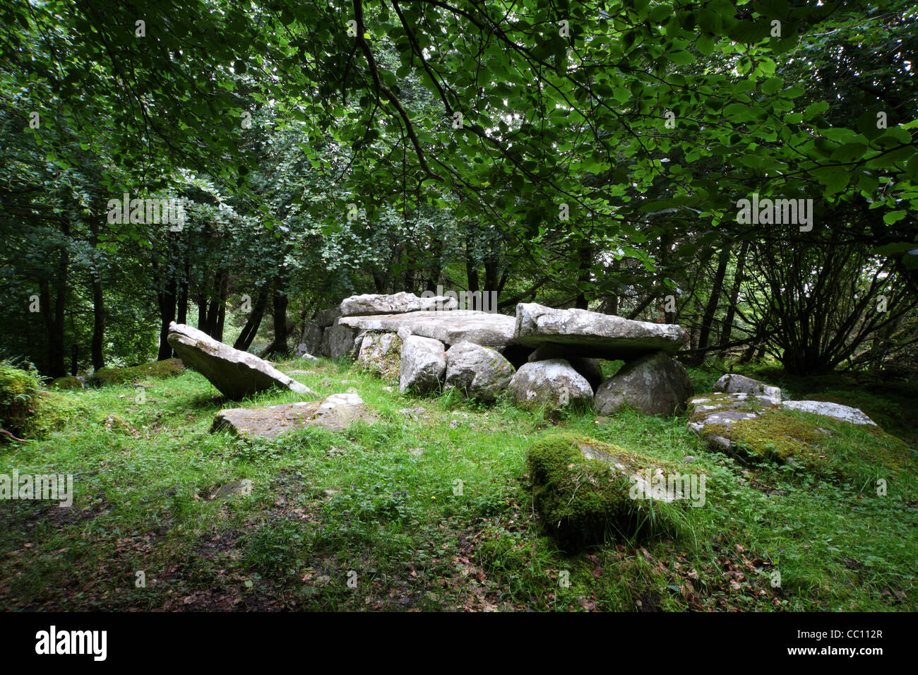 Burren Keil Grab. Co. Cavan. Irland Stockfoto