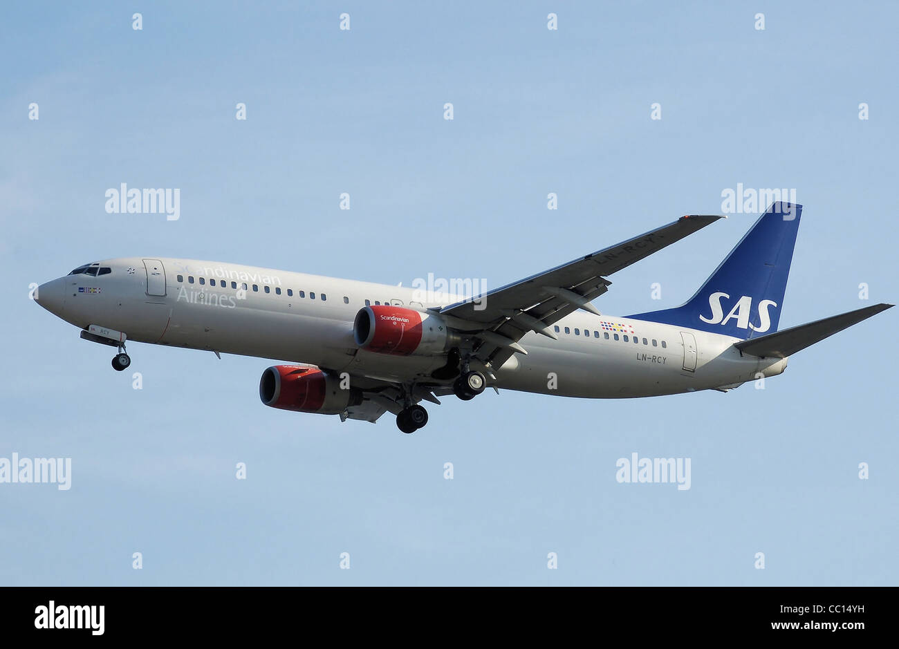 SAS Scandinavian Airlines Boeing 737-800 (LN-RCY) landet am Flughafen London Heathrow, England. Stockfoto