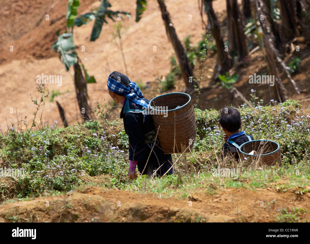 Kinder aus den schwarzen h ' Mong Stämme Dorf Lao Chai gehen zur Arbeit mit Körben auf dem Rücken. Stockfoto