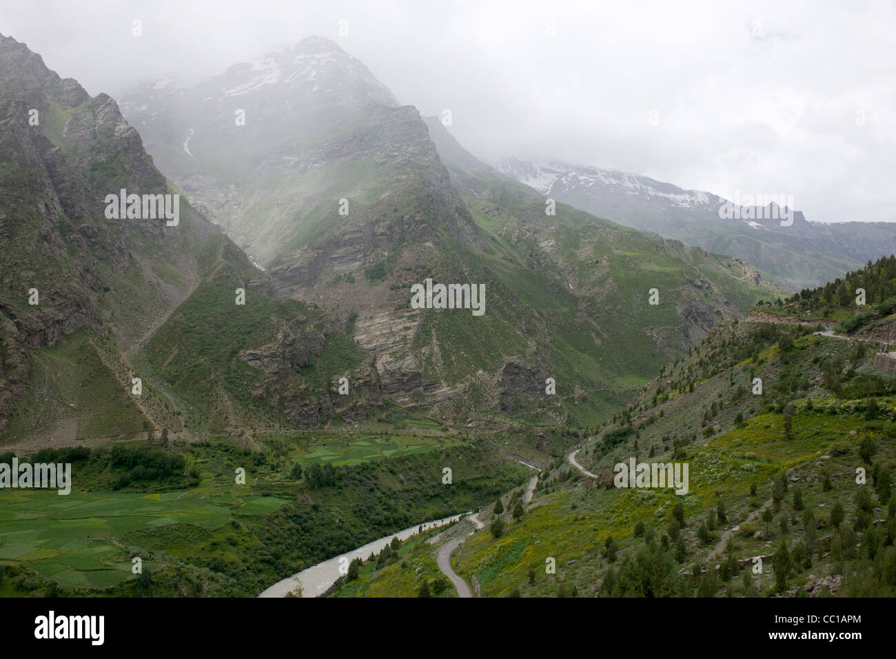 Nebel über die steilen Hänge des Tals Keylong, Manali-Leh Highway, Himachal Pradesh, Indien Stockfoto