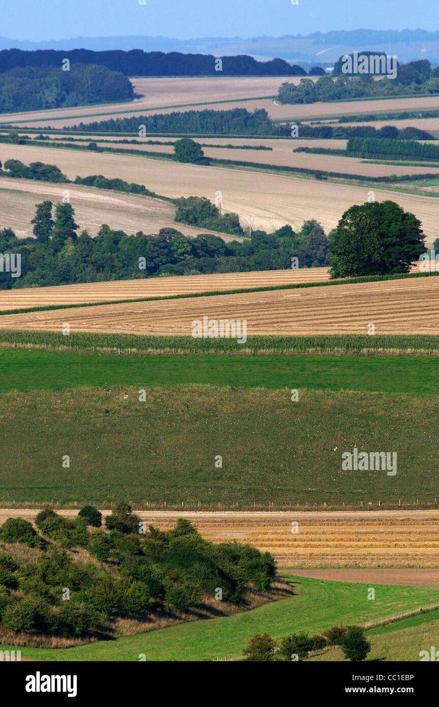 Eine vertikale Bild des Wylye unten Wiltshire UK Stockfoto