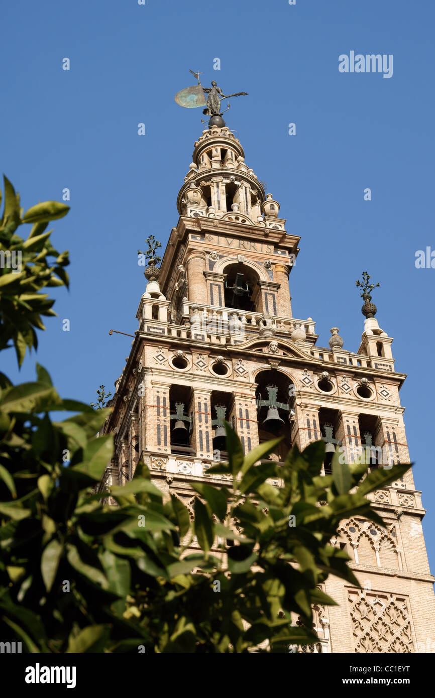 La Giralda Turm, Kathedrale von Sevilla, Spanien Stockfoto