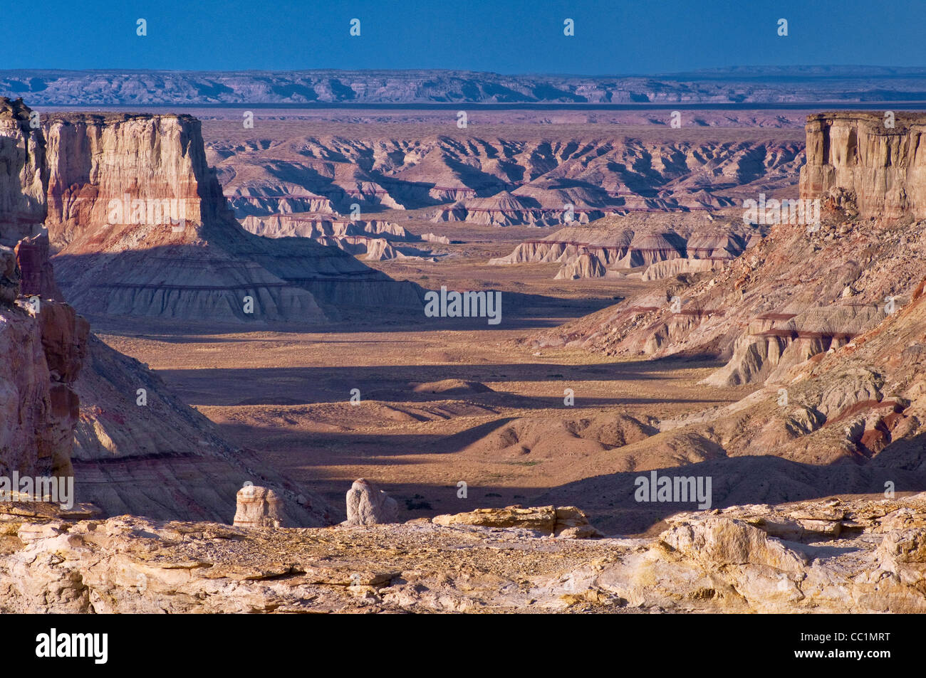 Coal Mine Canyon bei Sonnenuntergang, Coal Mine Mesa Moenkopi Plateau, Painted Desert in Dist, Navajo Indian Res, in der Nähe von Tuba City, Arizona Stockfoto