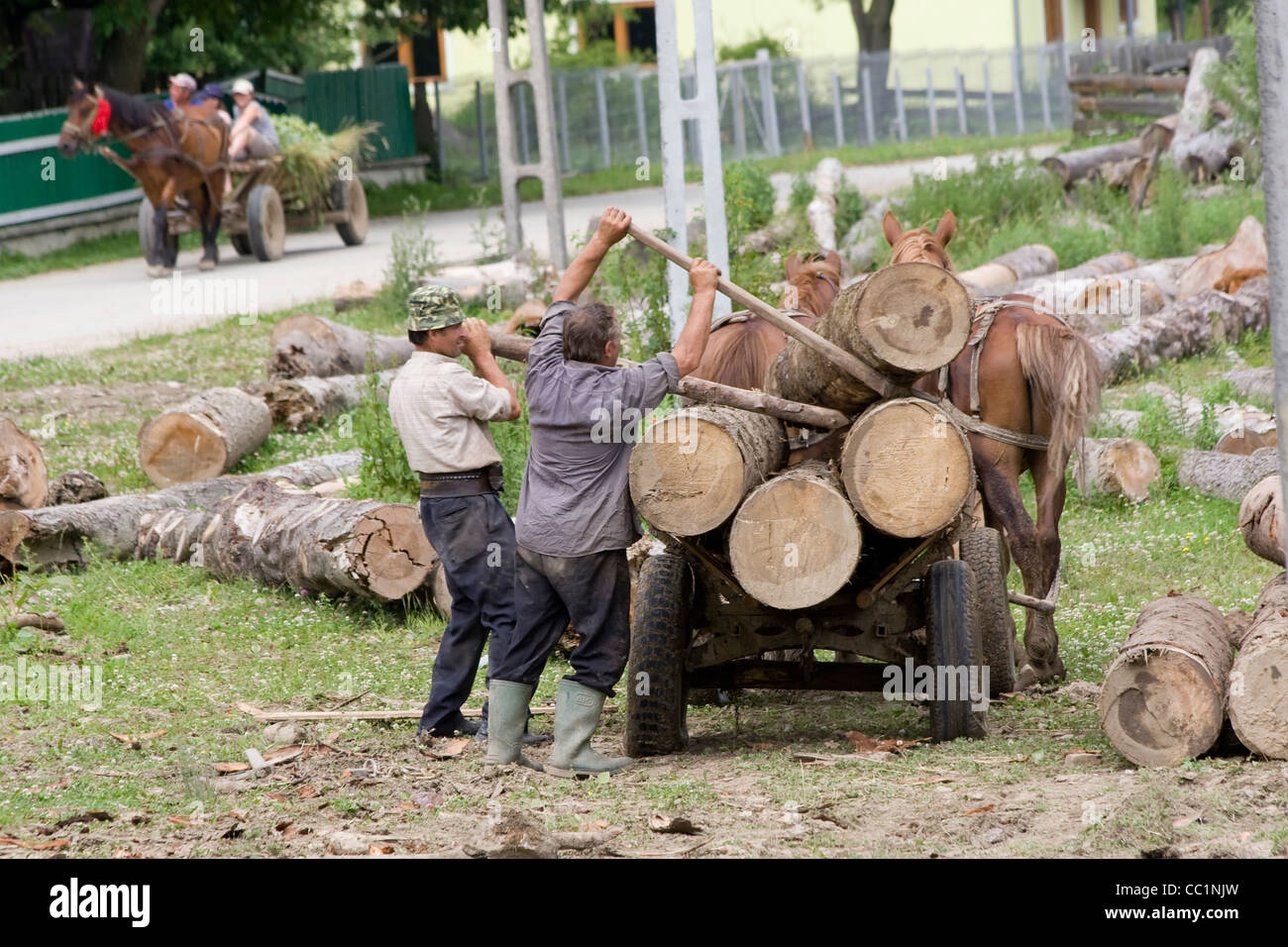 Nowy Soloniec polnischen Dorf in Rumänien, Provinz im südlichen Bukowina, Rumänien Stockfoto