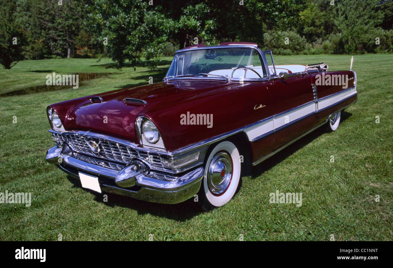 1955-Packard Caribbean Stockfoto