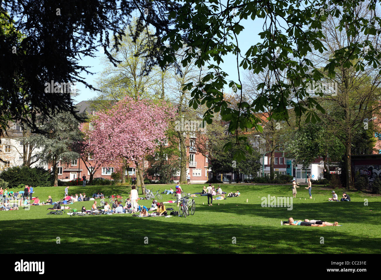 Öffentlicher Park in der Innenstadt, Frühling, Menschen, die einen ersten warmen Frühlingstag genießen ein Picknick. Essen, Deutschland, Europa. Stockfoto