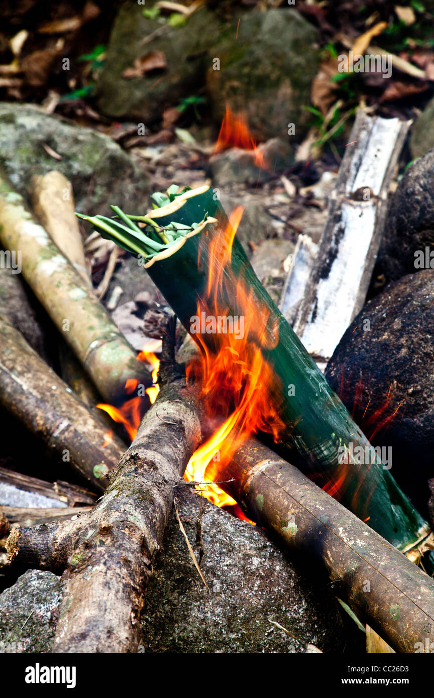 Kochen ber dem offenen Feuer im Dschungel aus Bambus Stockfotografie -  Alamy