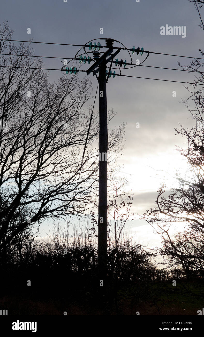 Telegrafenmast, mit Glas-Isolatoren und Büschen, in der silhouette Stockfoto