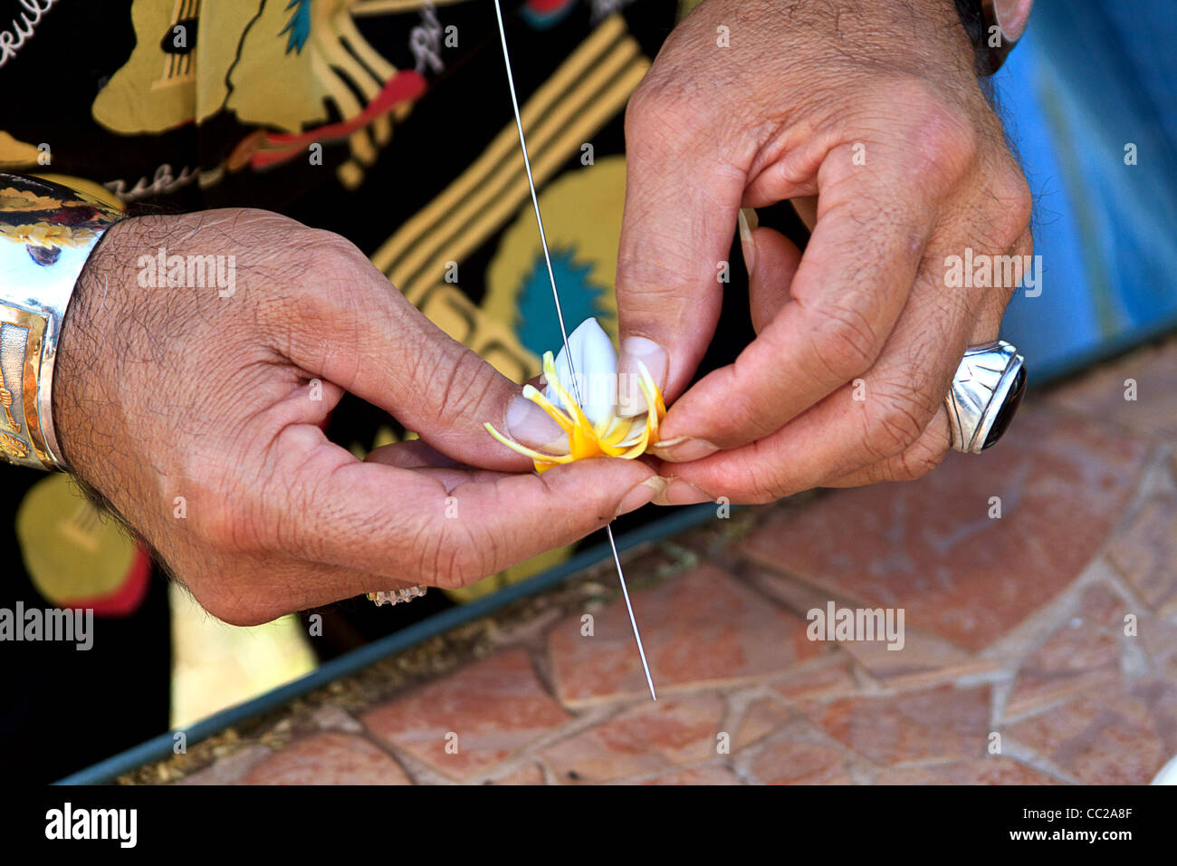 Nahaufnahme des lokalen Menschen Bespannung Plumeria (Frangipani) Blumen zu einem Lei auf Molokai, Hawaii, USA. Stockfoto