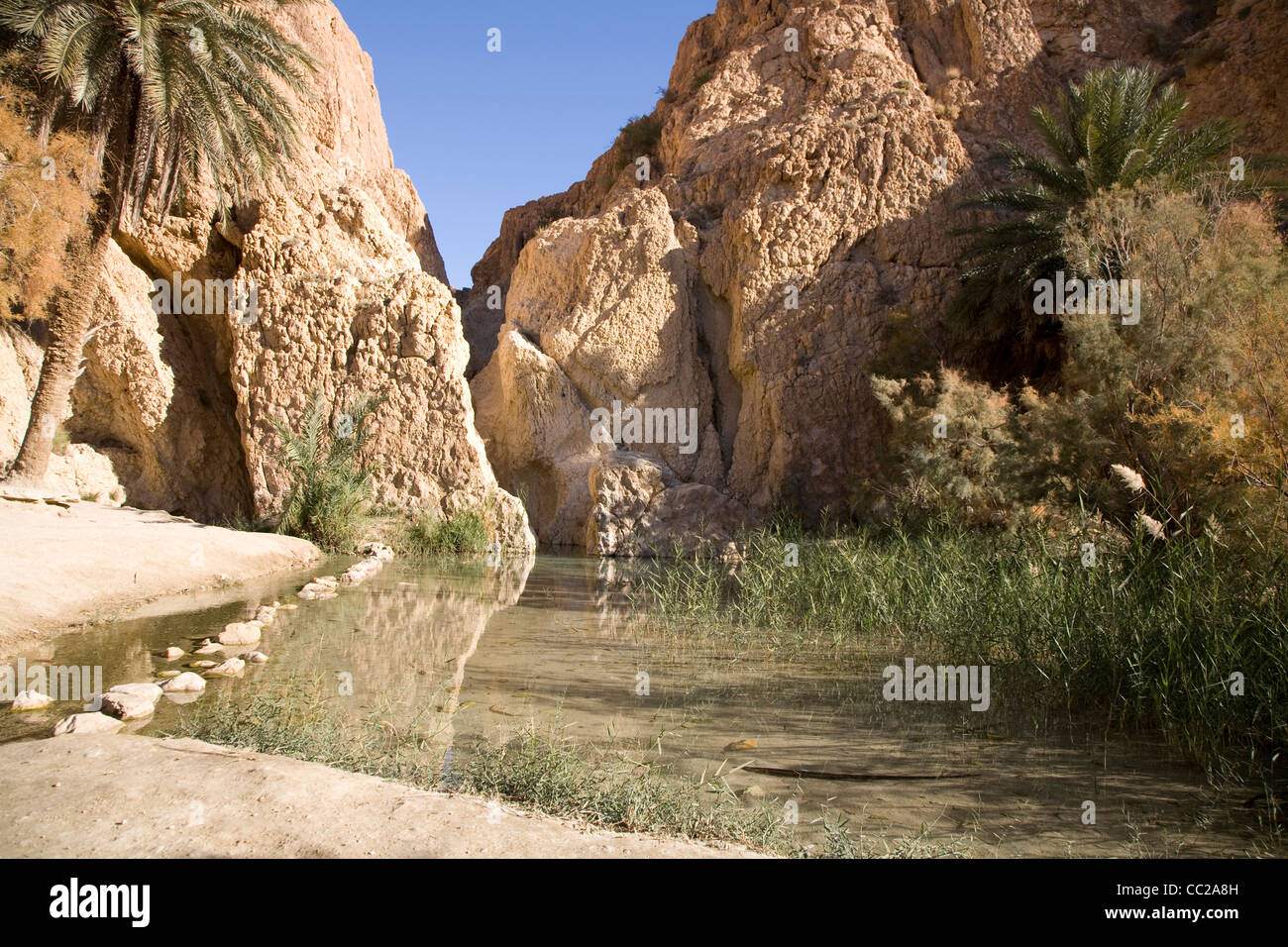 Stream/Bergoase, Chebika, Tunesien. Stockfoto