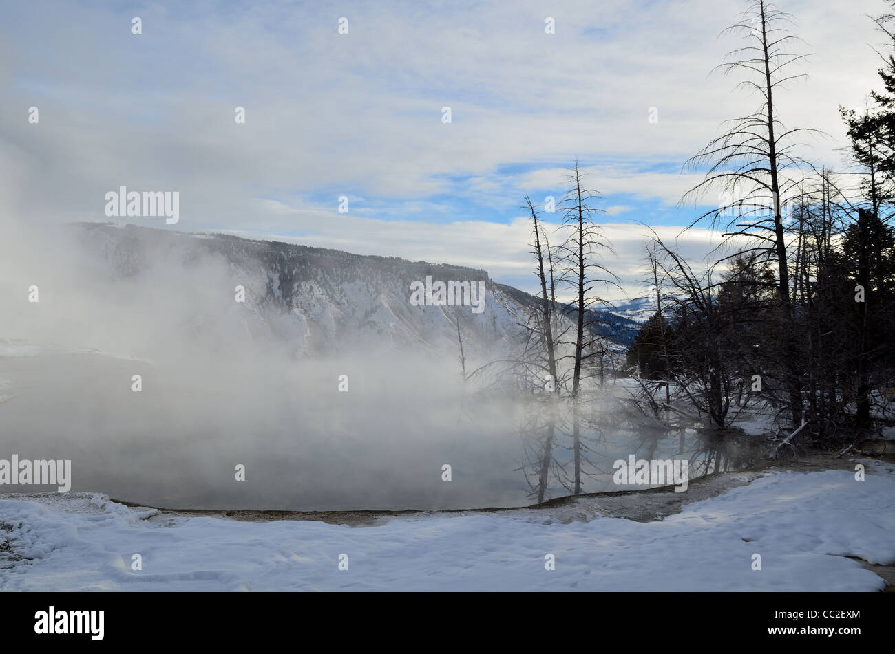 Dampf steigt aus heißen Quellen. Mammoth Hot Springs, Yellowstone-Nationalpark, Wyoming, USA Stockfoto