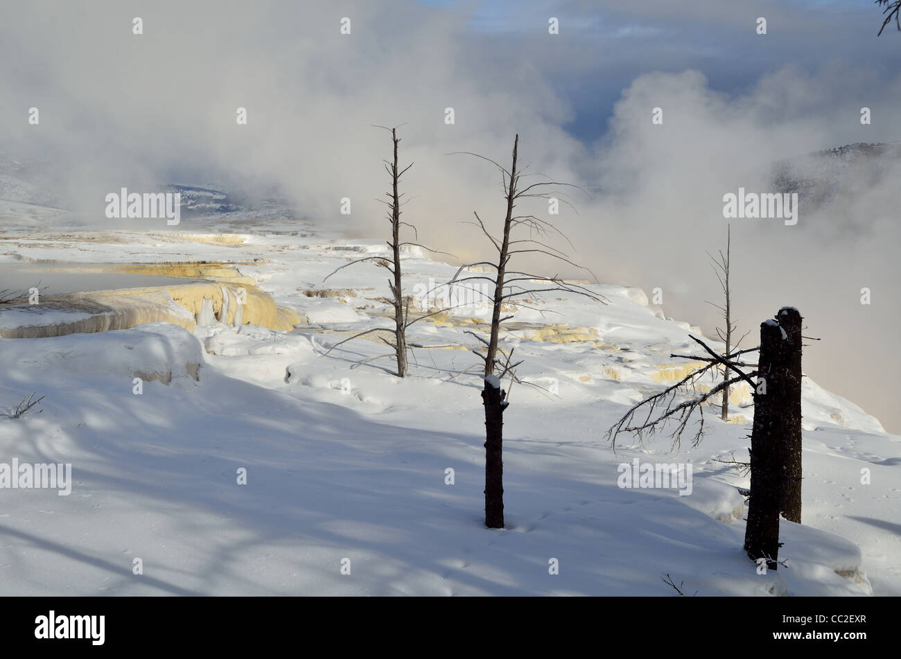 Carbonat Travertin Einlagen bei Eis und Schnee. Mammoth Hot Springs, Yellowstone-Nationalpark, Wyoming, USA. Stockfoto