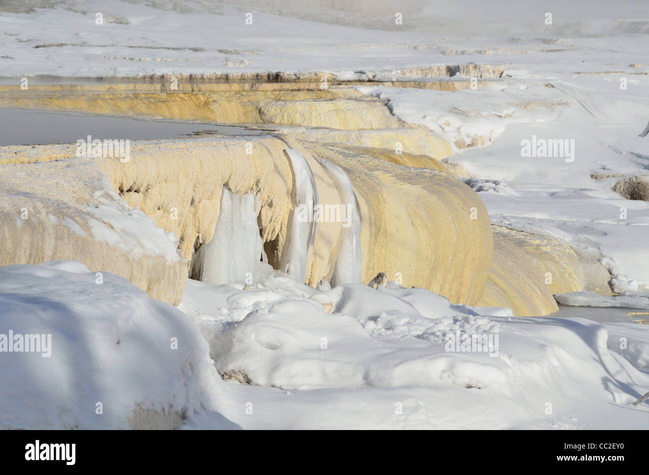 Carbonat Travertin Einlagen bei Eis und Schnee. Mammoth Hot Springs, Yellowstone-Nationalpark, Wyoming, USA. Stockfoto