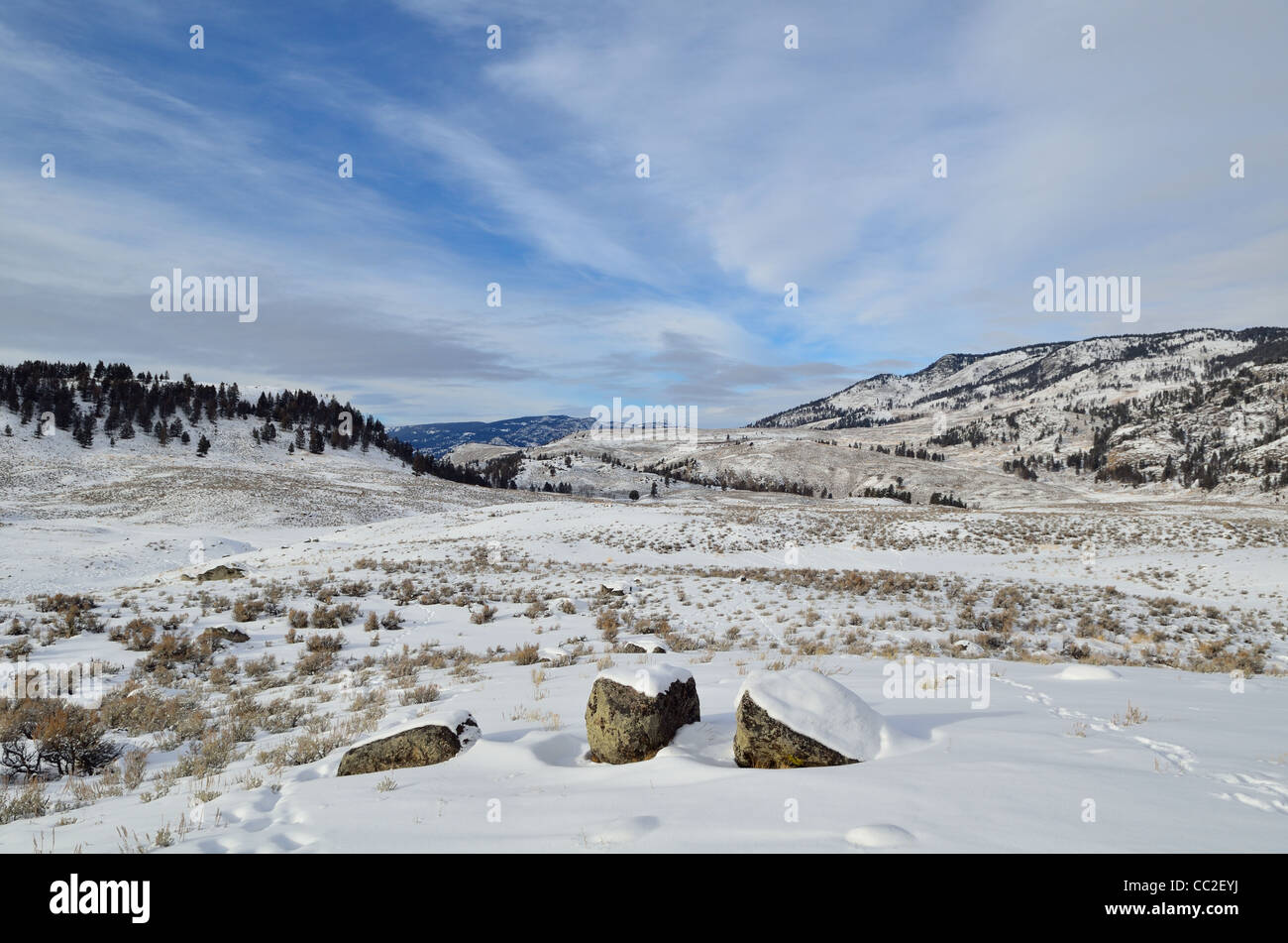 Die schneebedeckte Landschaft des Lamar Valley, Yellowstone National Park, Montana, USA. Stockfoto