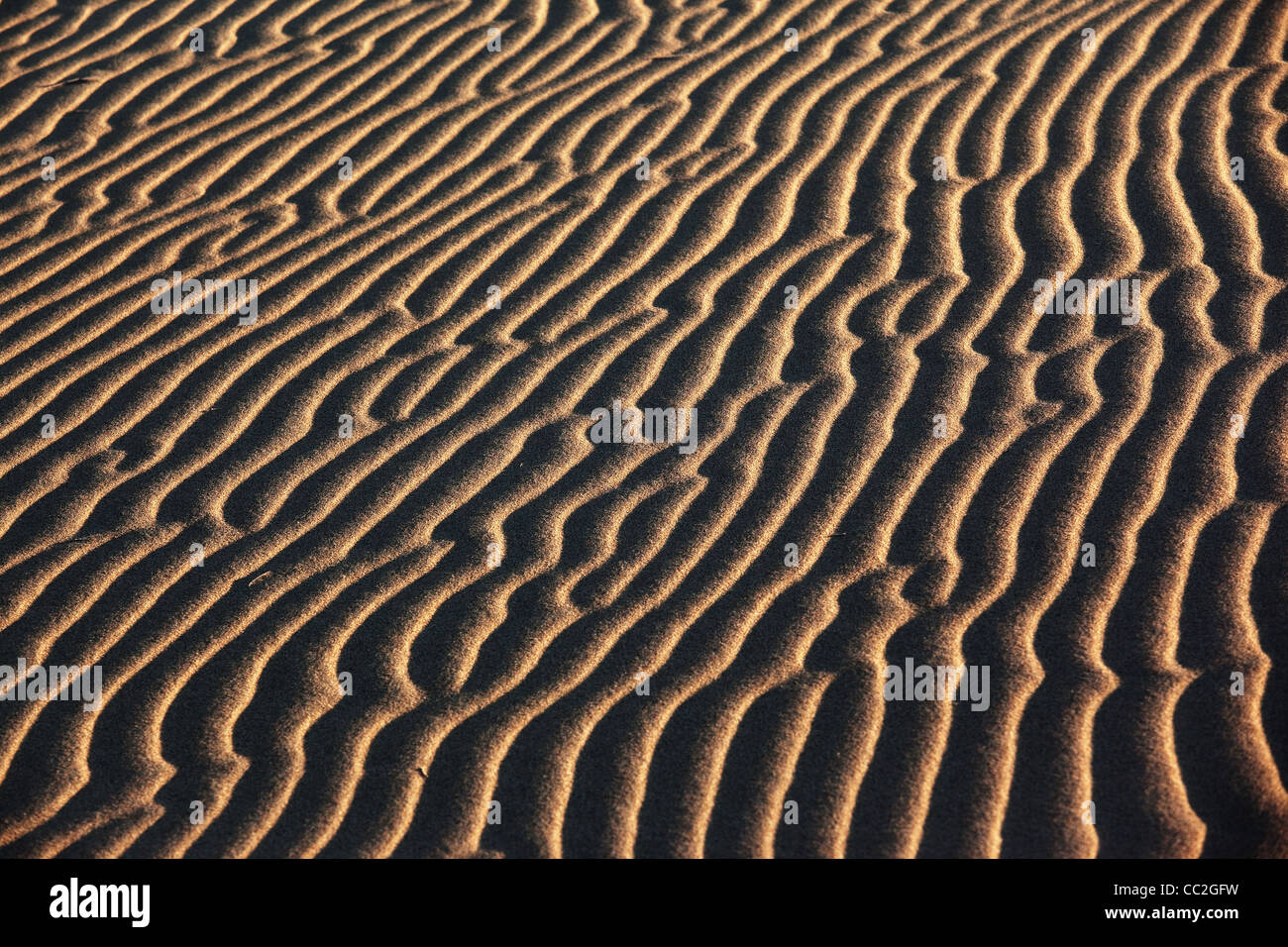 Sand Wellen in Wüste Hintergrund Stockfoto