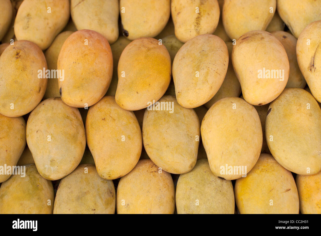 Mangos anzeigen Stockfoto