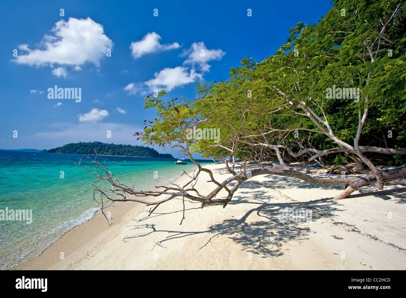 Ansicht des White Sand Strand von Koh Rawi ist neben Koh Adang im Tarutao Marine Park in Satun Provinz von Thailand. Stockfoto