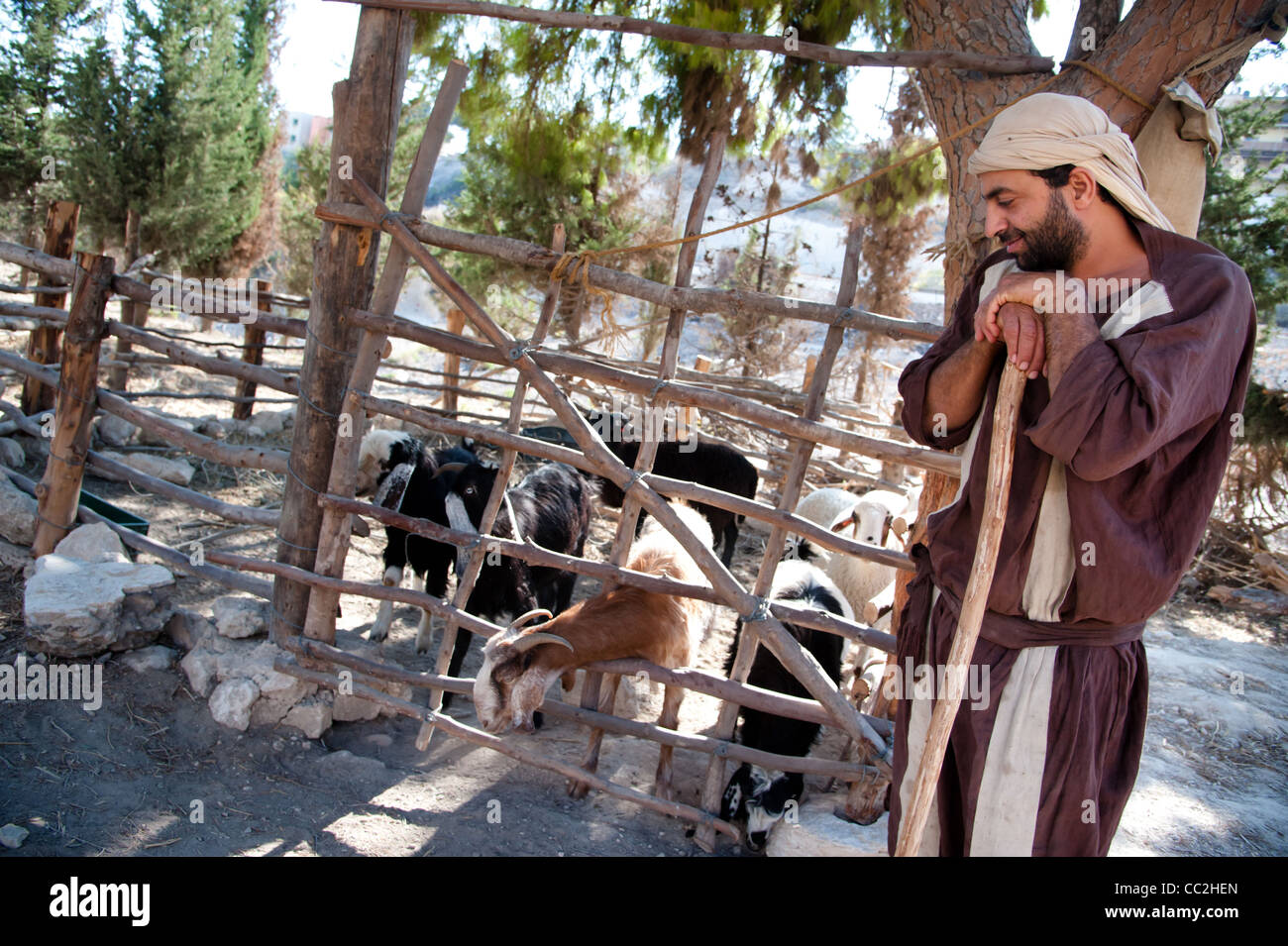 Ein Mann gekleidet wie ein Erstjahrhundert Hirte seine Herde in Nazareth Village, eine Darstellung des Lebens in der Zeit von Jesus neigt. Stockfoto