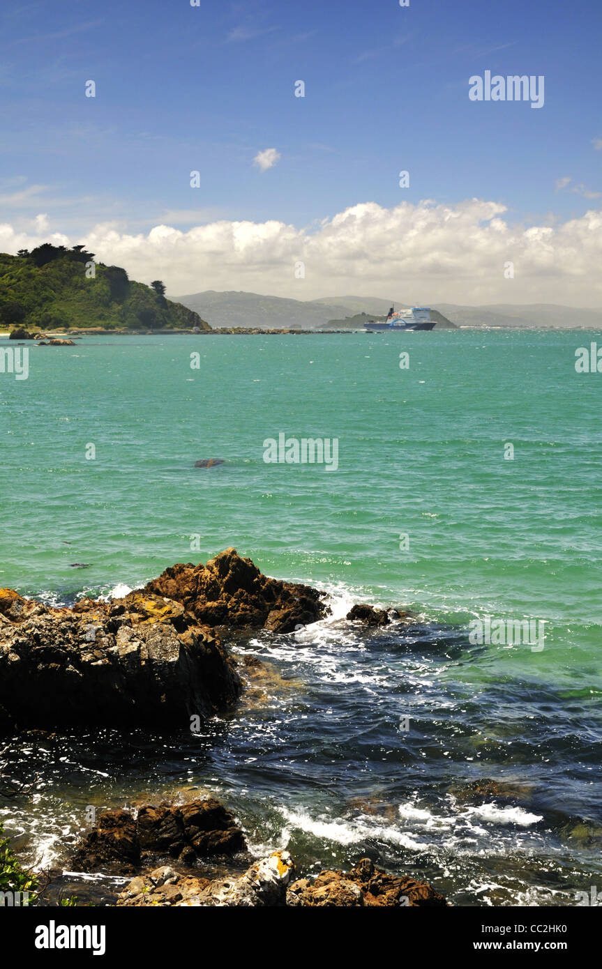 Wellington Küstenlandschaft mit Bluebridge Fähre auf die Südinsel, Neuseeland. Stockfoto