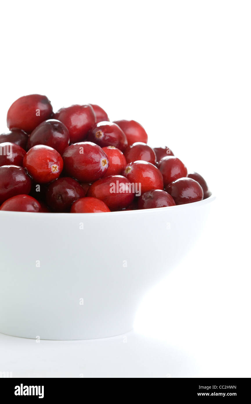 frische Cranberries in einer weißen Schüssel Stockfoto