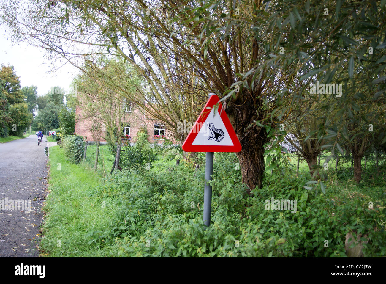 Ein Verkehrszeichen Warnung von Fröschen überqueren, "Hüte dich vor den Frosch", Mechelen, Belgien Stockfoto