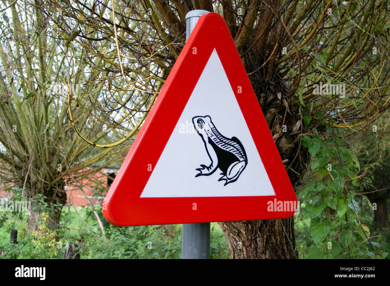 Verkehrszeichen Achtung Frosch überqueren, "Hüte dich vor den Frosch", Mechelen, Belgien Stockfoto